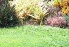 Wrights Beachlawn-and-turf-15.jpg; ?>