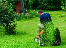 Kwikfynd Lawn Mowing
wrightsbeach