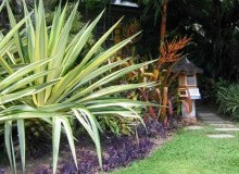 Kwikfynd Tropical Landscaping
wrightsbeach